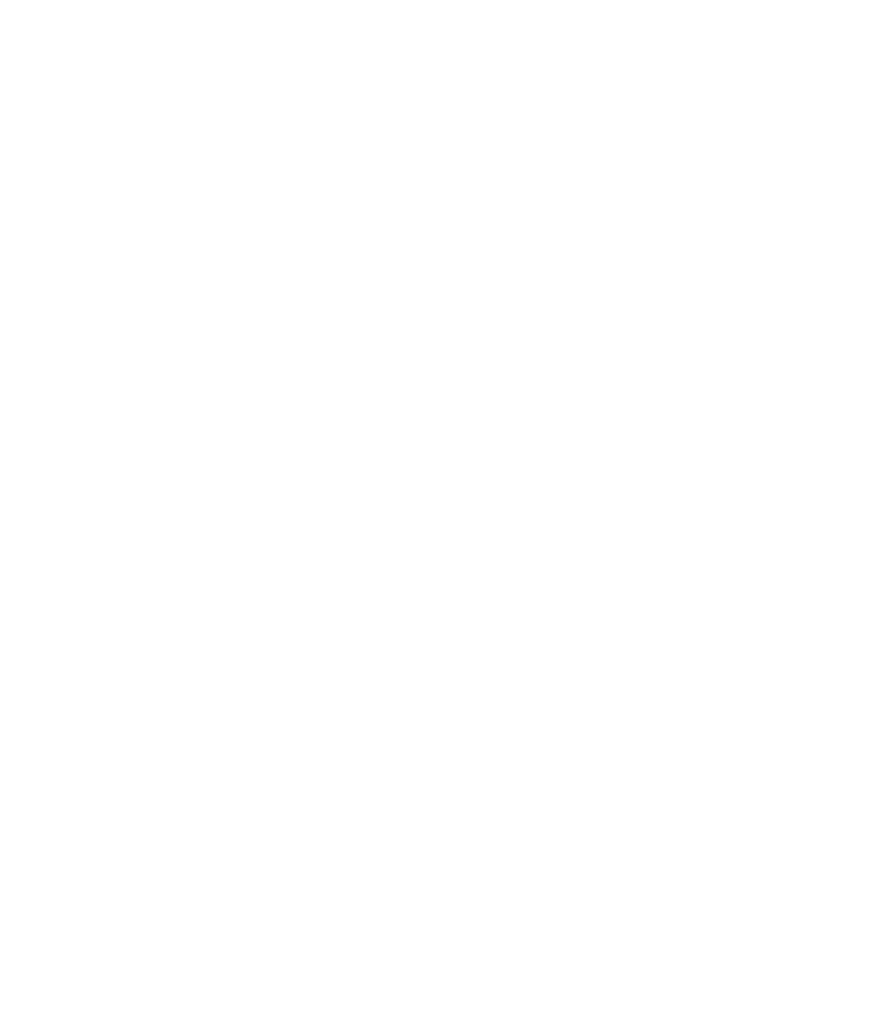 MegaG Alimentos